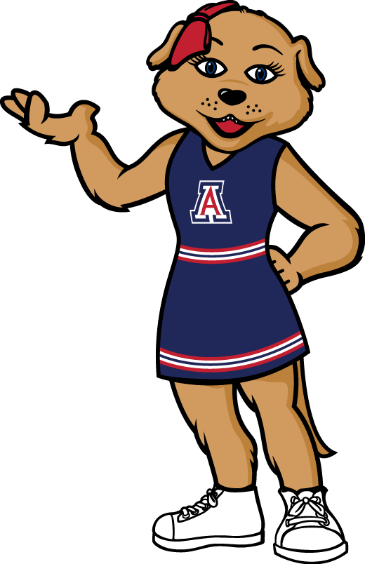 Arizona Wildcats 2013-Pres Mascot Logo diy iron on heat transfer